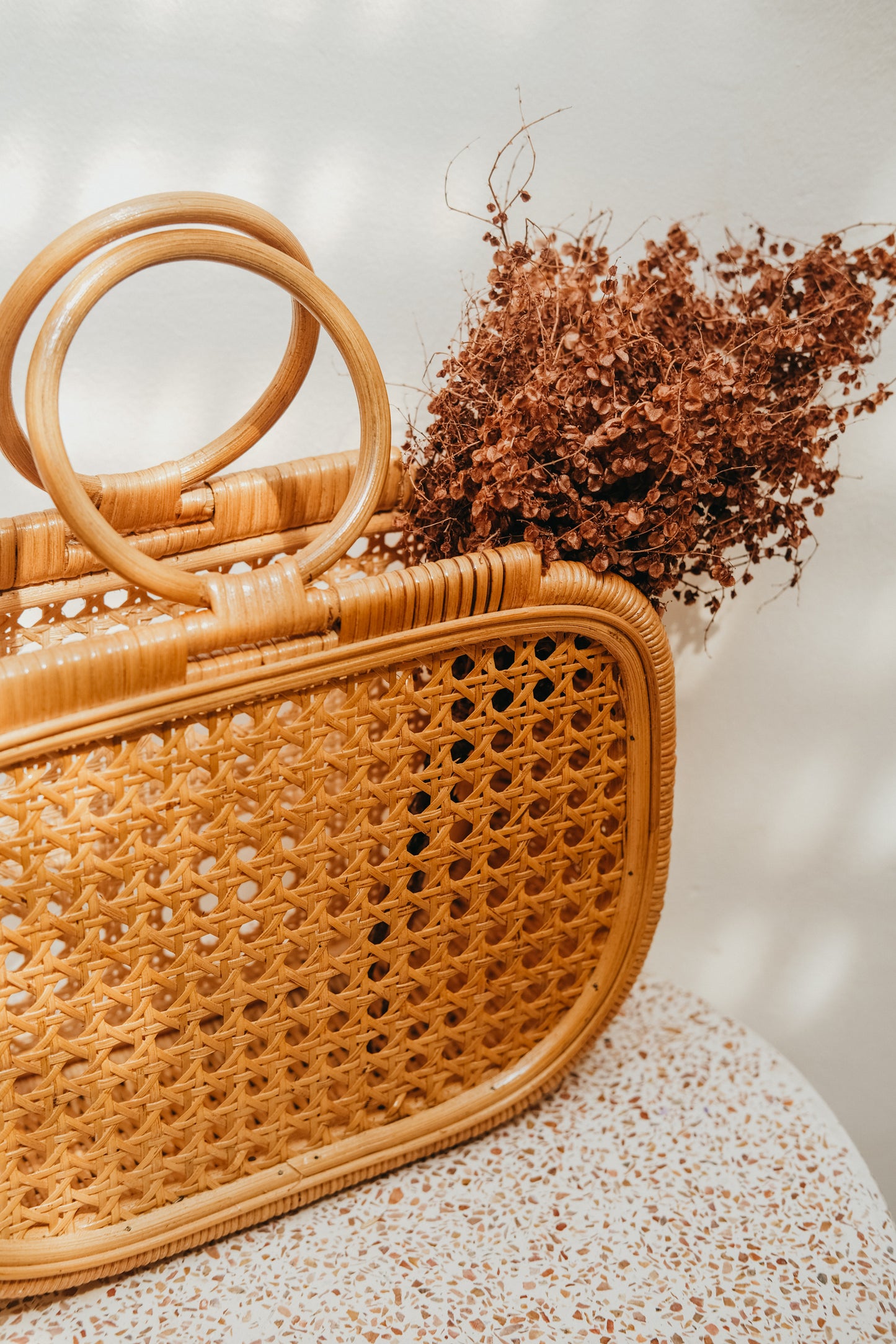Daniela Rattan and Cane Tote