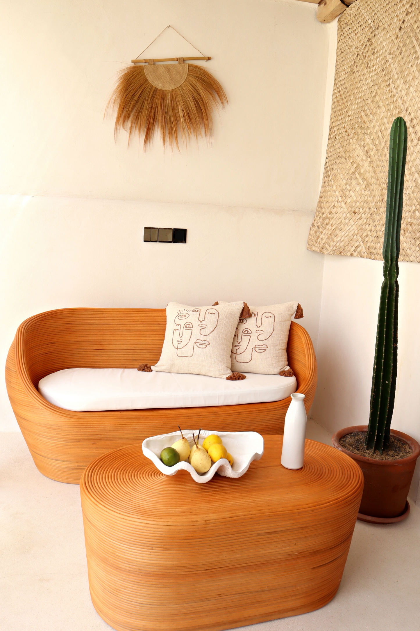 Rattan sofa and table 2025