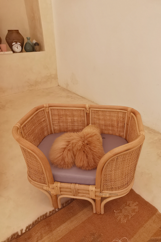 The Rancho Rattan Pet Bed Small Size