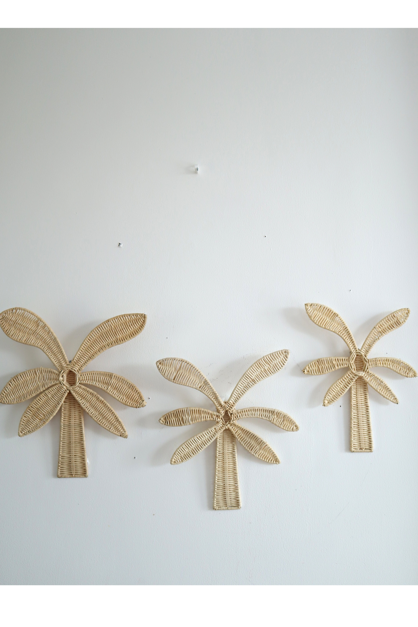 Rattan Palm Tree Wall Decor