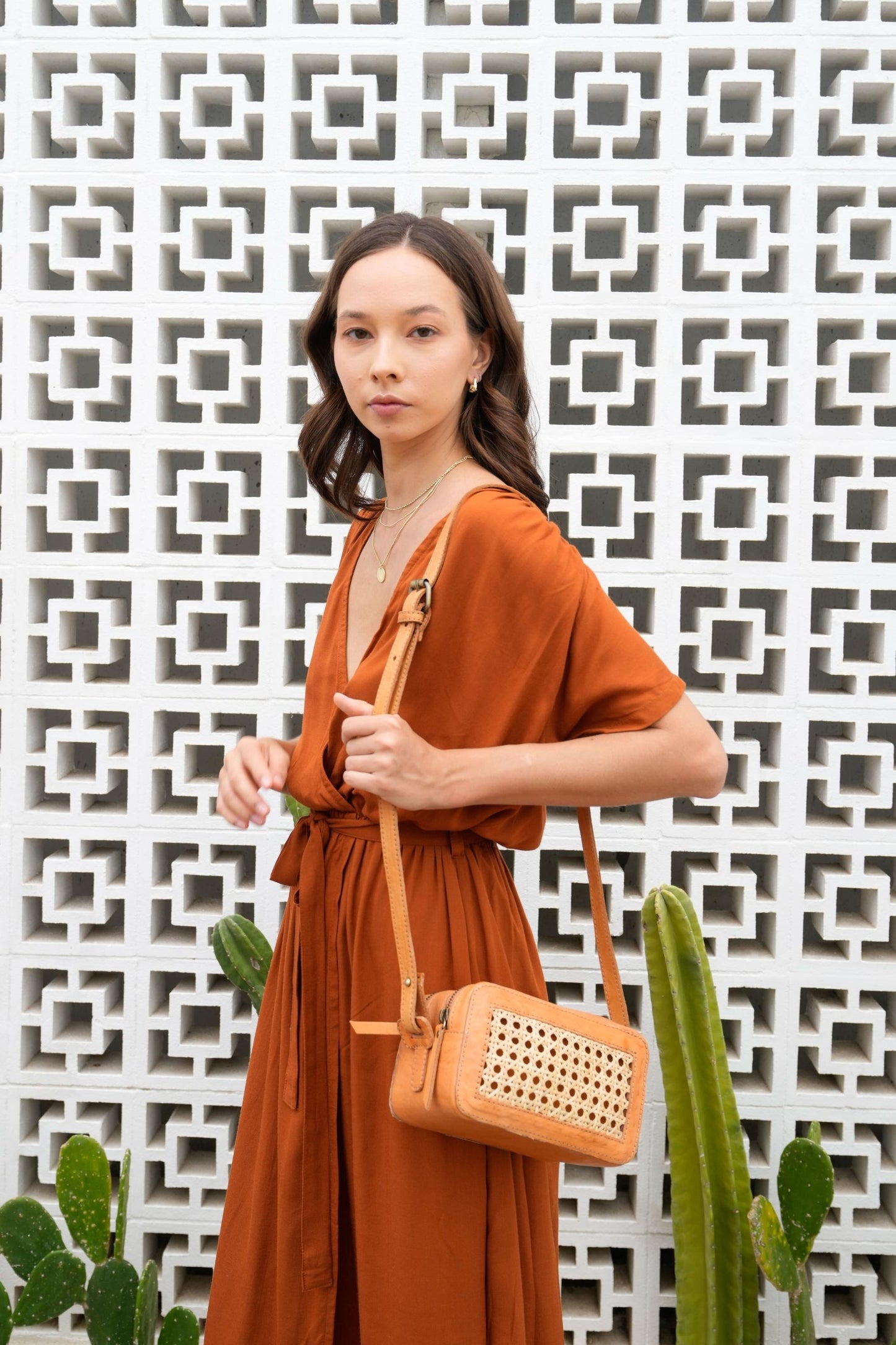 Scarlett Leather and Cane Crossbody Bag in Tan