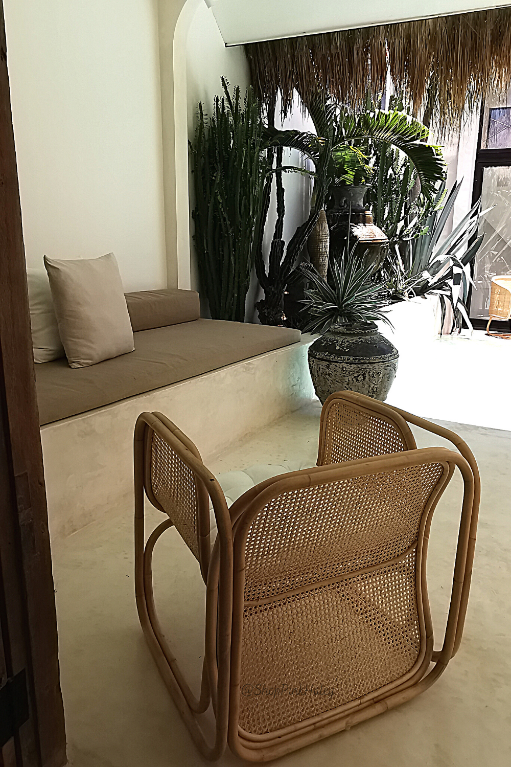 Cane Rattan Armchair ( Local Delivery Only )